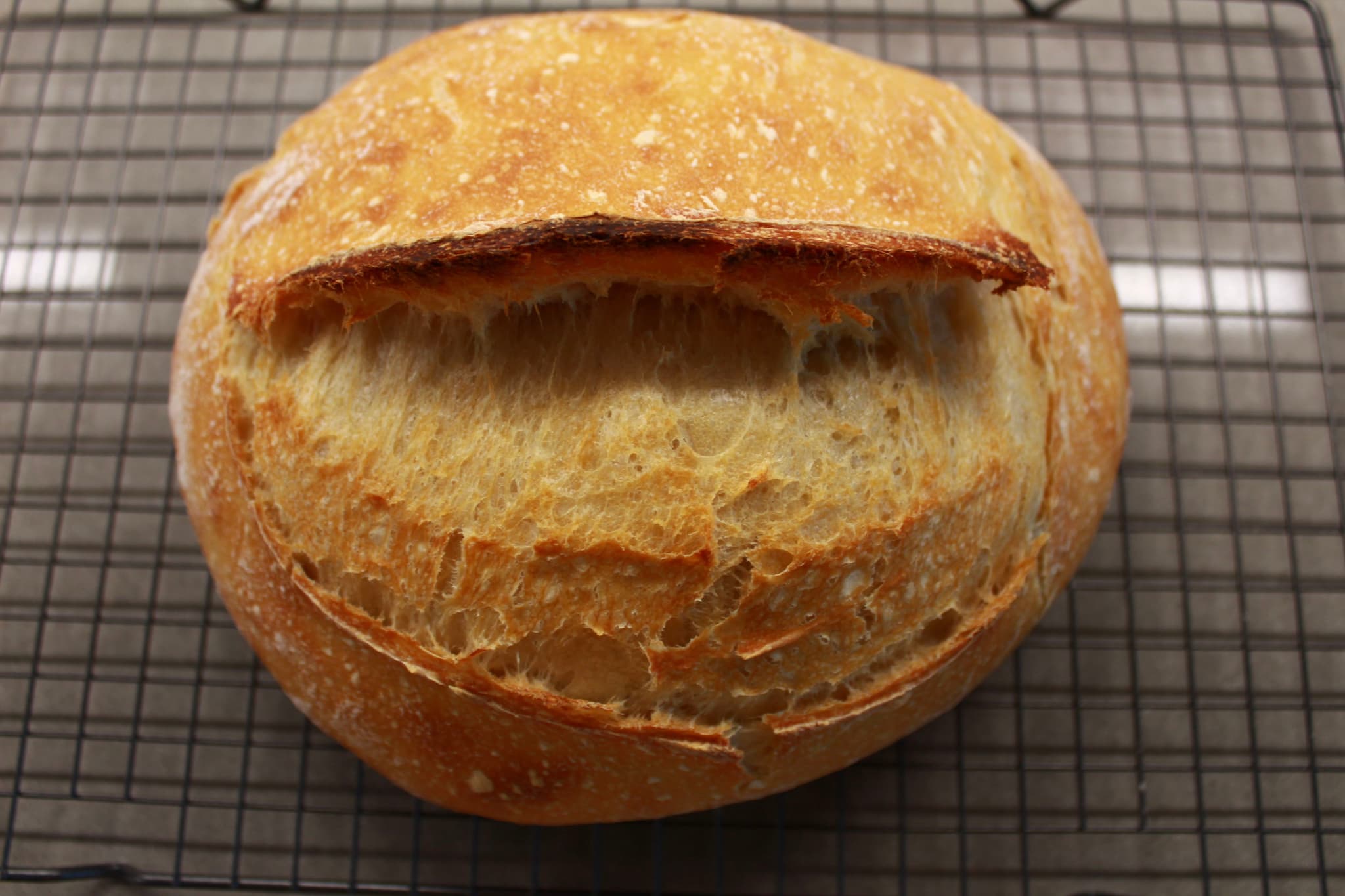 Sourdough 9/14