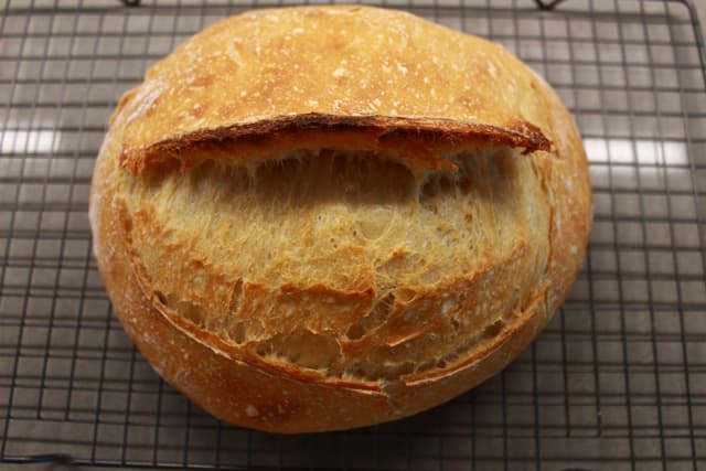Sourdough 9/14